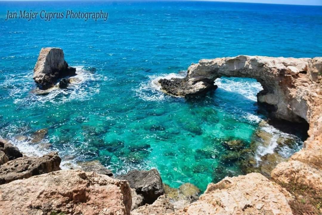 Nissi 3 Pool Access Garden Apartment Ayia Napa Eksteriør billede